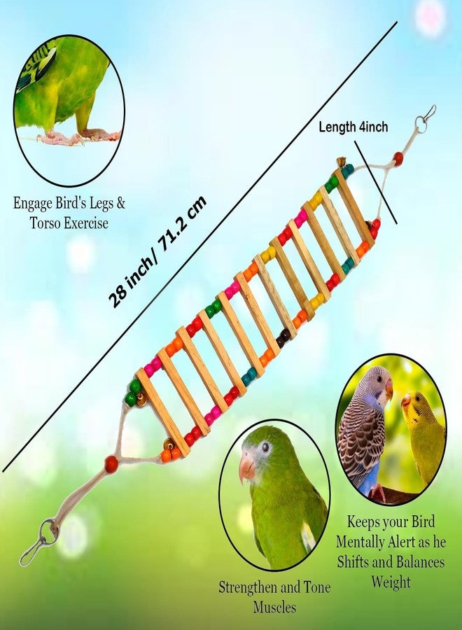 JAINSONS PET PRODUCTS منتجات جاينسونز للحيوانات الأليفة | لعبة جسر سلم خشبي ملون للطيور بطول 28 بوصة مع خرز وجرس | ملحق أرجوحة معلقة للببغاوات، والبادجي، وطيور الحب، والطيور الصغيرة - Image 2